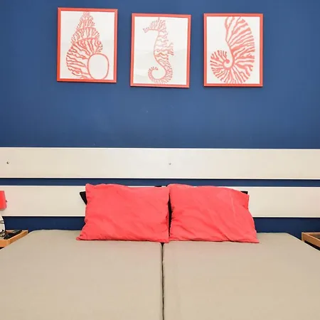 Apartment Coral *
